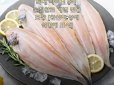 군산 반건조 박대 특대 5미, 손질· 관련 이미지 1